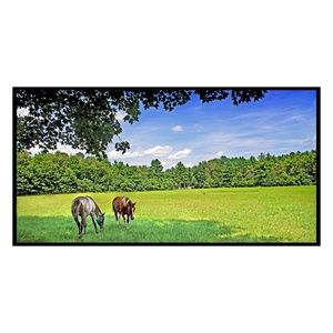 Horse Pasture Afternoon